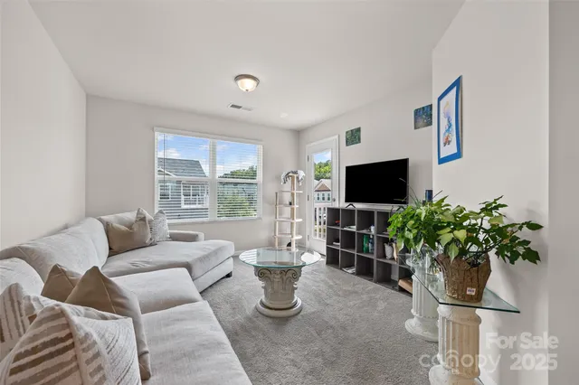 a living room with furniture potted plant and a flat screen tv