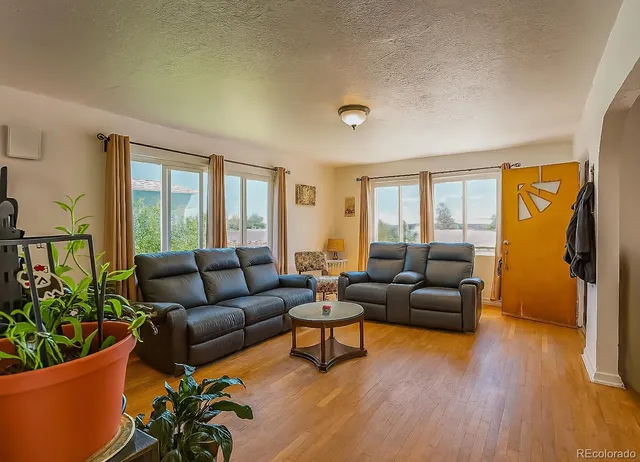 a living room with furniture and a potted plant
