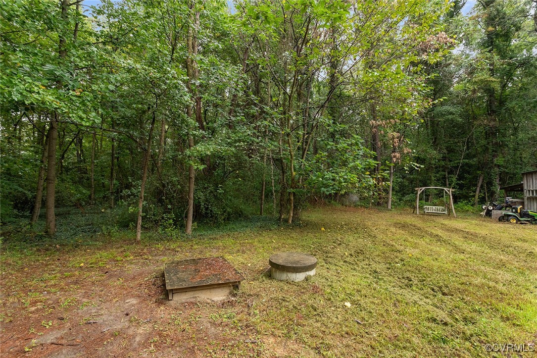 16447 Bullfield Road Doswell, VA 23047 - Photo 23 of 23 View of yard