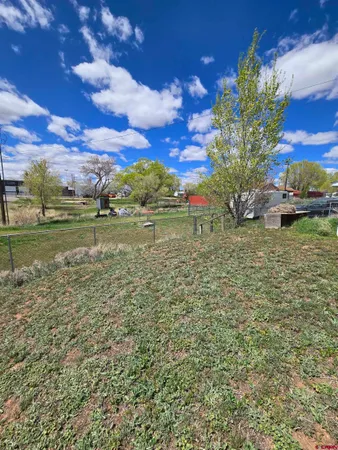 a view of a big yard with a large tree