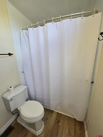 a white toilet sitting next to a shower curtain