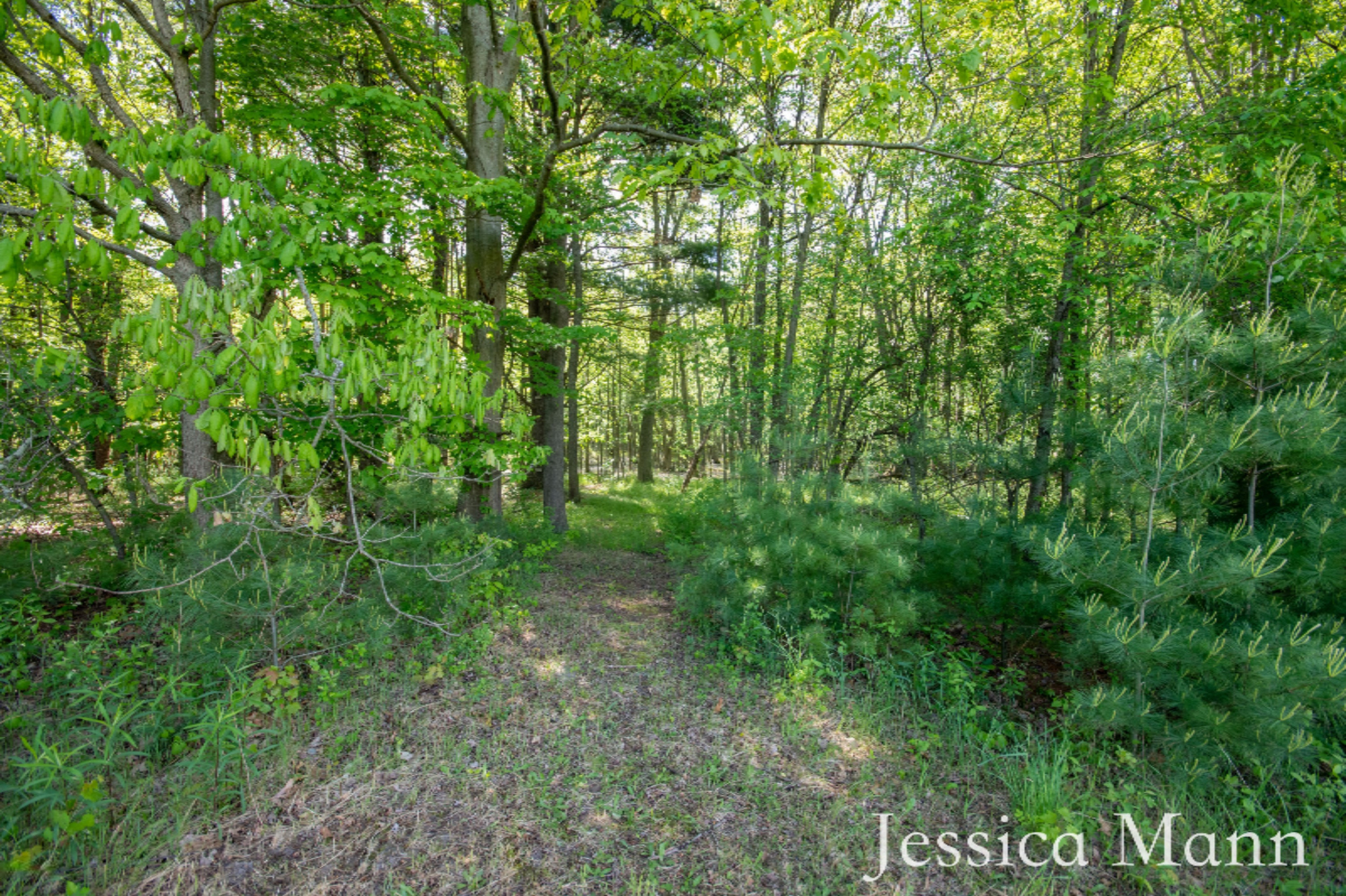 272 South Behler Road Ravenna, MI 49451 - Photo 42 of 48 KMH_9252