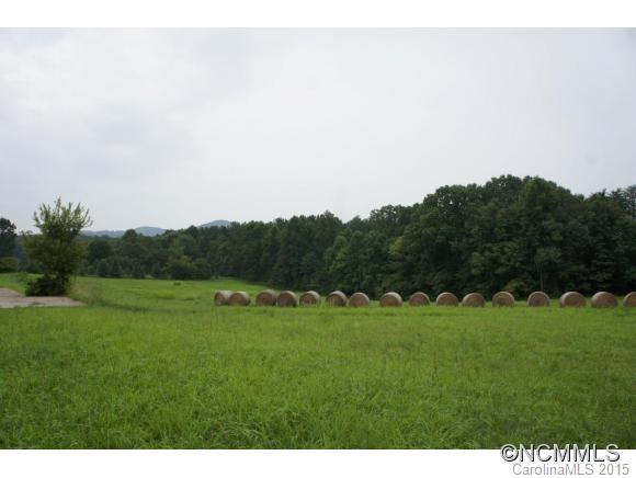 1030 Toney Road Bostic, NC 28018 - Photo 2 of 21