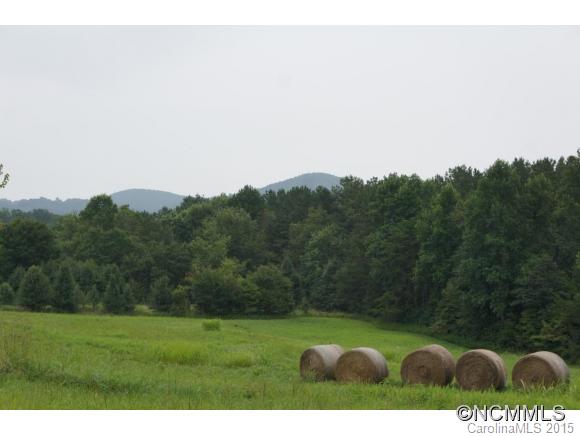 1030 Toney Road Bostic, NC 28018 - Photo 3 of 21