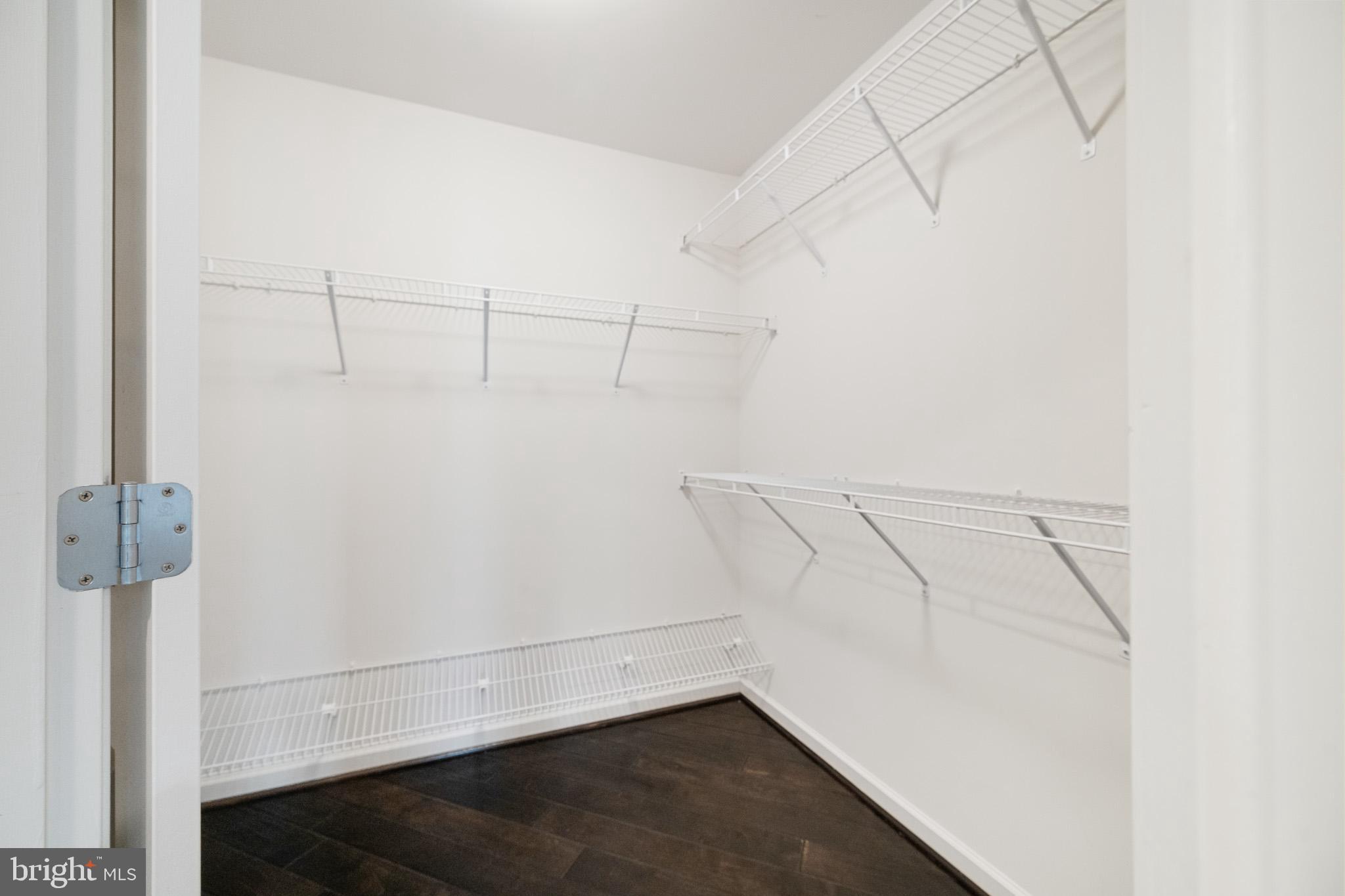 42387 Rising Moon Place Brambleton, VA 20148 - Photo 27 of 58 Huge Walk in Closets