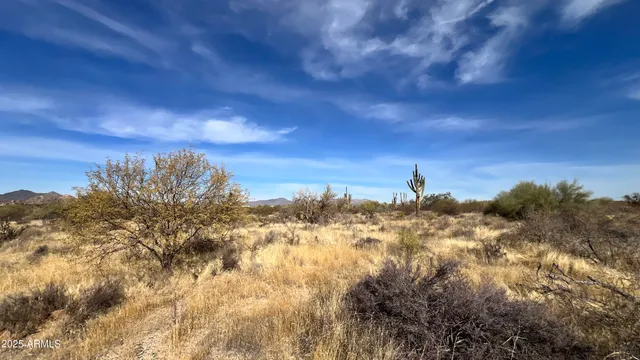 a view of a yard with a tree