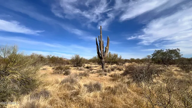 a view of a city with lush green forest