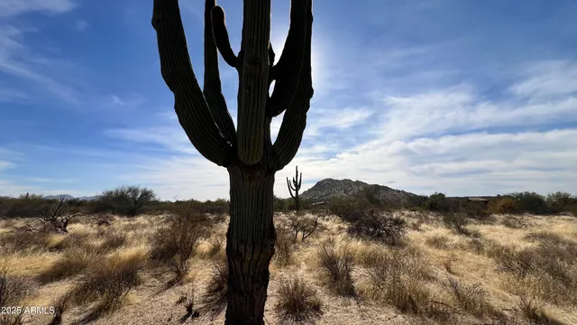 a view of a lake with a tree in the background
