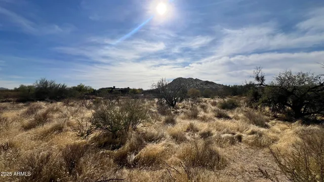 a backyard of a house
