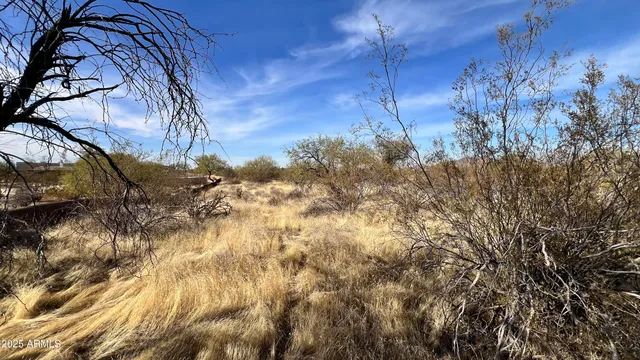 a view of a road from a yard