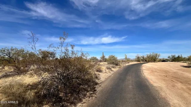a view of a bunch of trees in a field