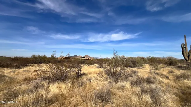 a view of a yard covered in snow