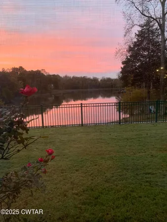 a view of a lush green field