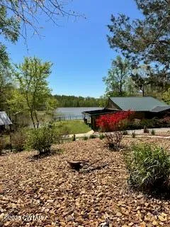 a view of outdoor space and yard
