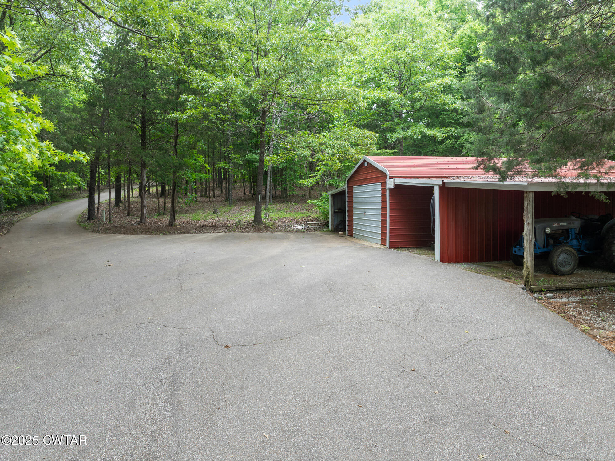973 Old Lavinia Road Cedar Grove, TN 38321 - Photo 20 of 51 a view of a house with backyard and trees