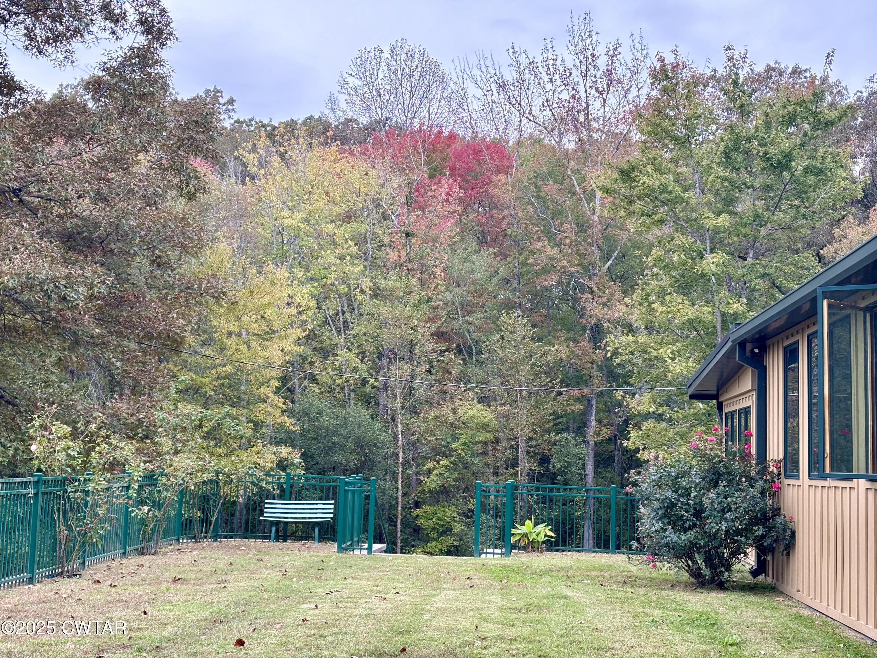 973 Old Lavinia Road Cedar Grove, TN 38321 - Photo 2 of 51 IMG_0429