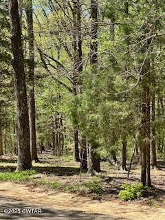 973 Old Lavinia Road Cedar Grove, TN 38321 - Photo 29 of 51 IMG_7463