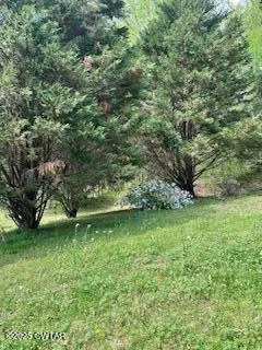 $598,000 | 973 Old Lavinia Road, Cedar Grove, TN 38321