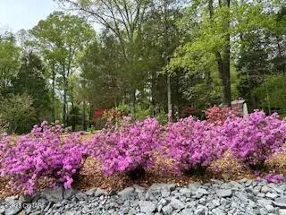 $598,000 | 973 Old Lavinia Road, Cedar Grove, TN 38321