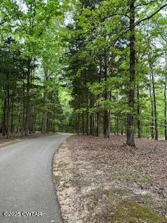 973 Old Lavinia Road Cedar Grove, TN 38321 - Photo 31 of 54 IMG_7592