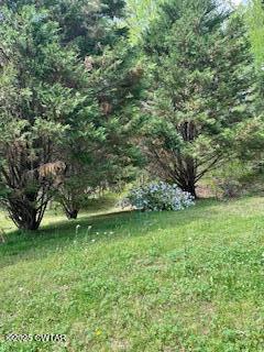 973 Old Lavinia Road Cedar Grove, TN 38321 - Photo 33 of 54 IMG_7529