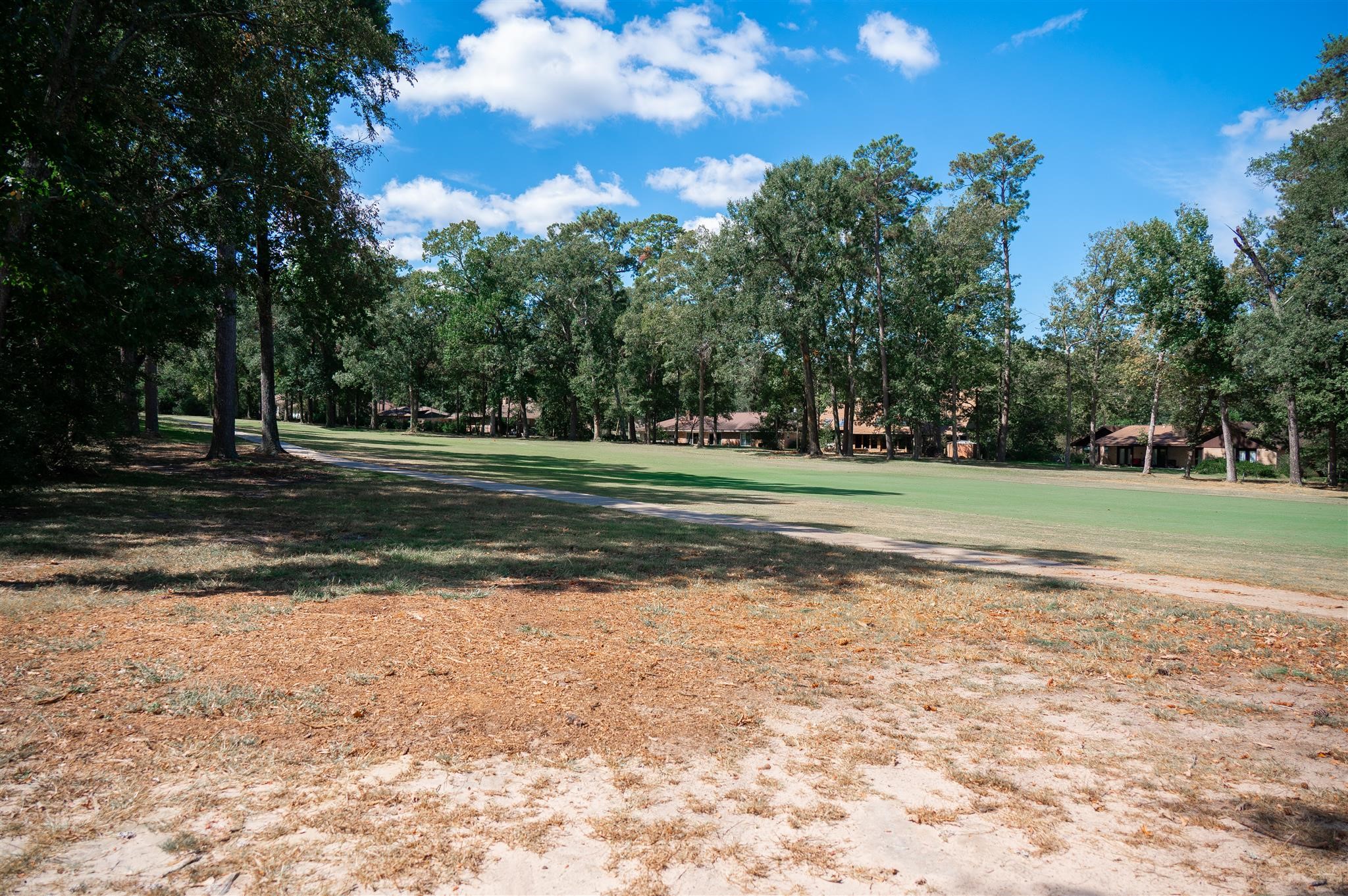 77 Panorama Drive Conroe, TX 77304 - Photo 39 of 49 a view of a park