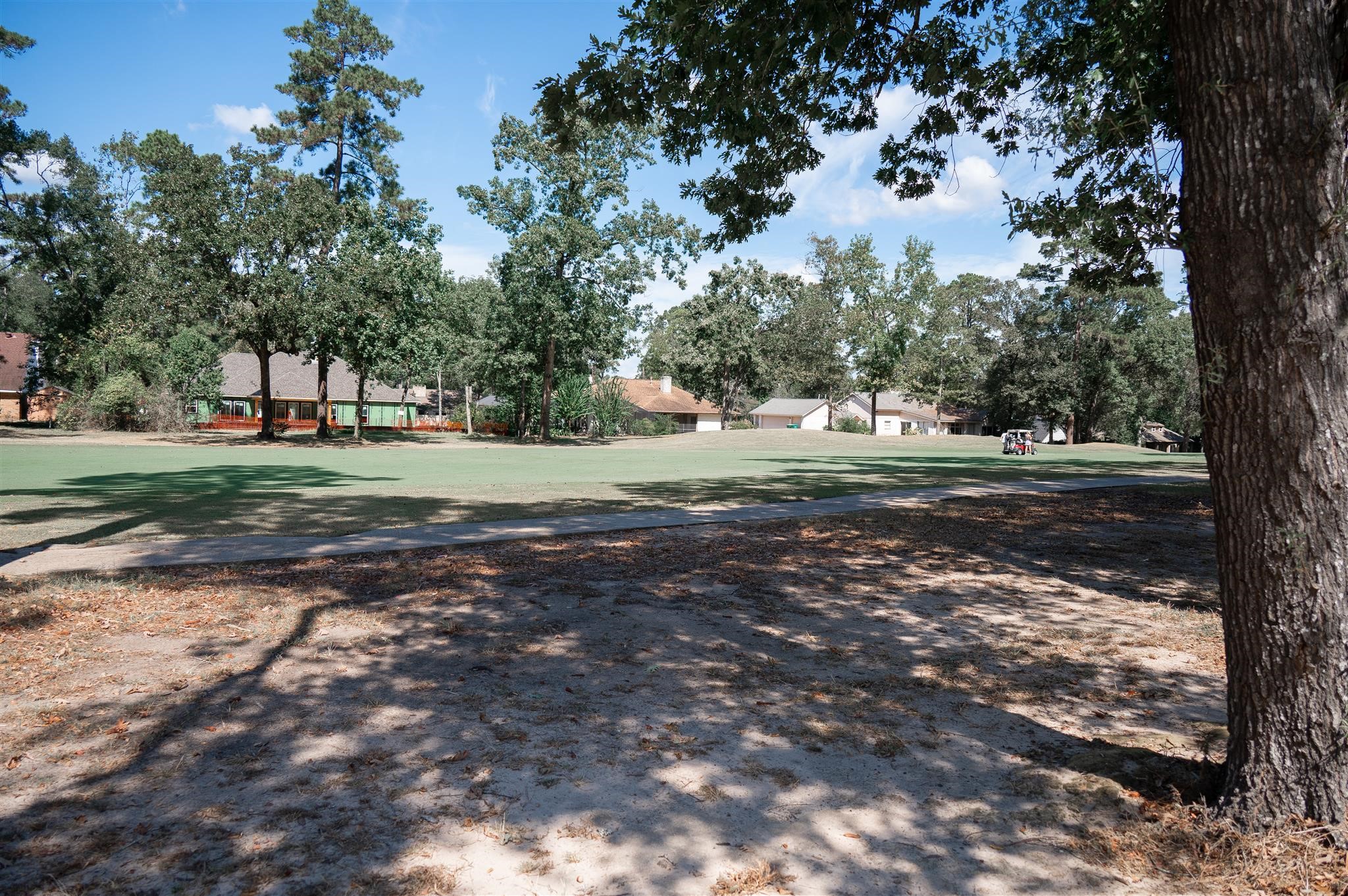 77 Panorama Drive Conroe, TX 77304 - Photo 40 of 49 a view of a yard with large trees