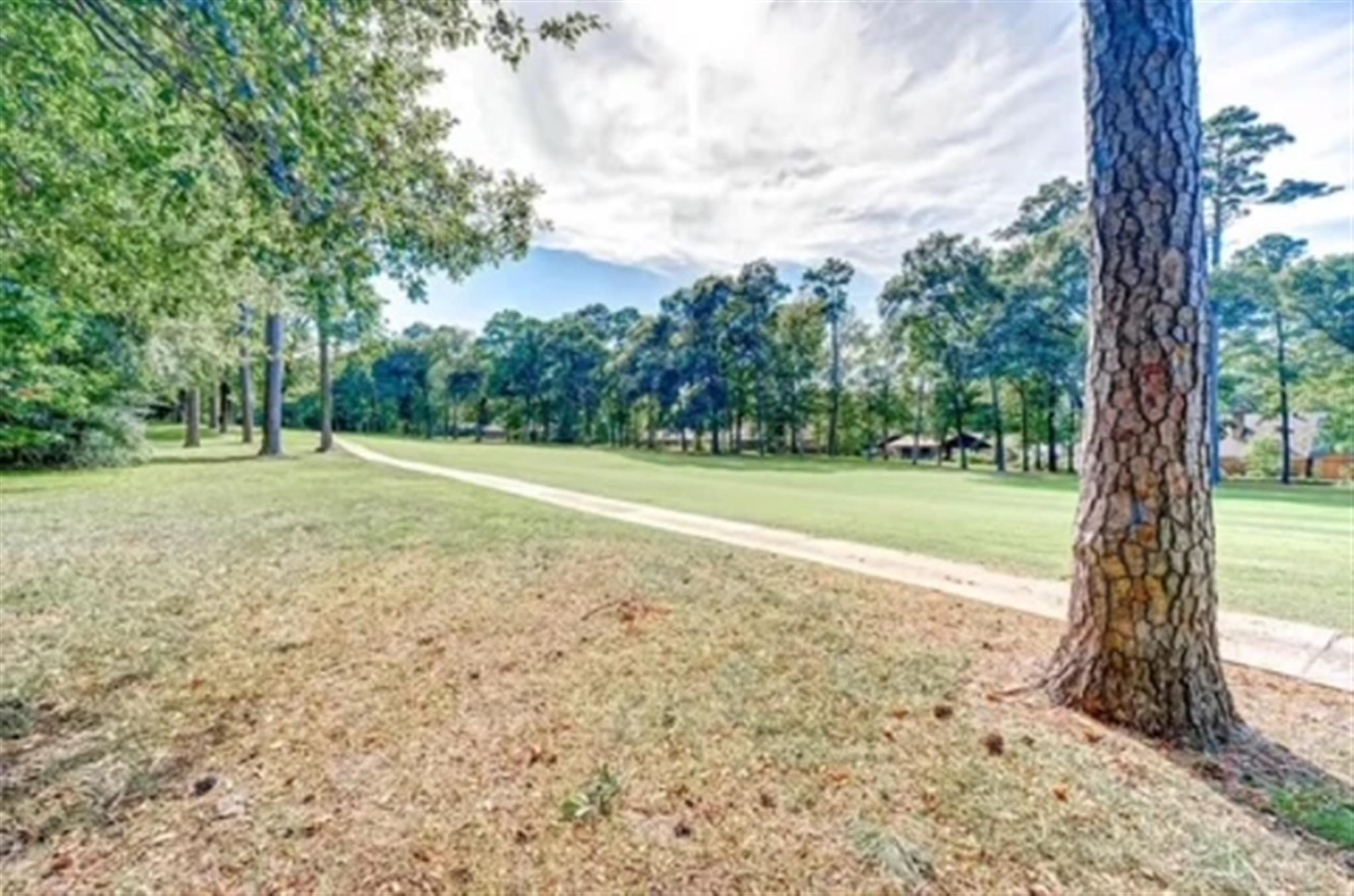 77 Panorama Drive Conroe, TX 77304 - Photo 45 of 49 a view of a yard with a tree