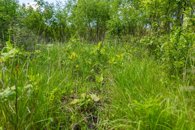 $499,999 | 22376 510th Avenue, Minnesota Lake, MN 56068