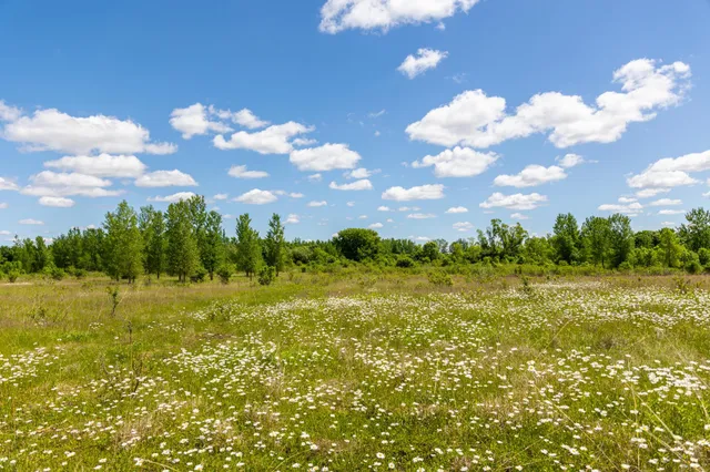 $499,999 | 22376 510th Avenue, Minnesota Lake, MN 56068