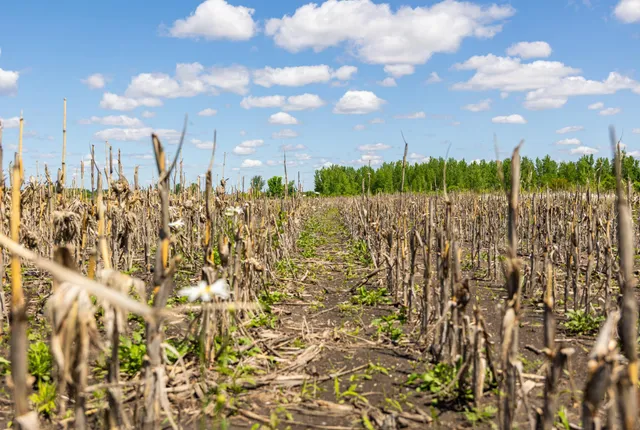 $499,999 | 22376 510th Avenue, Minnesota Lake, MN 56068