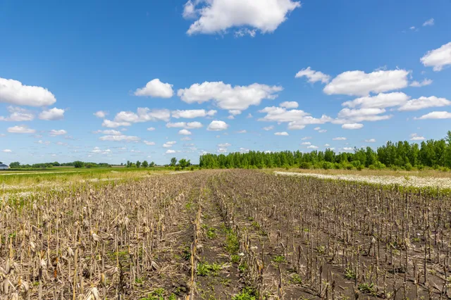 $499,999 | 22376 510th Avenue, Minnesota Lake, MN 56068