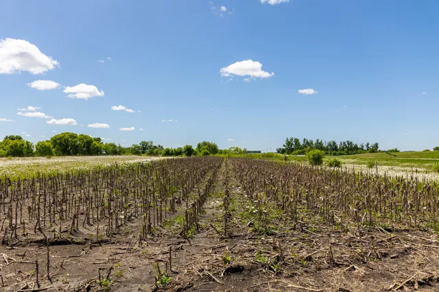 $499,999 | 22376 510th Avenue, Minnesota Lake, MN 56068