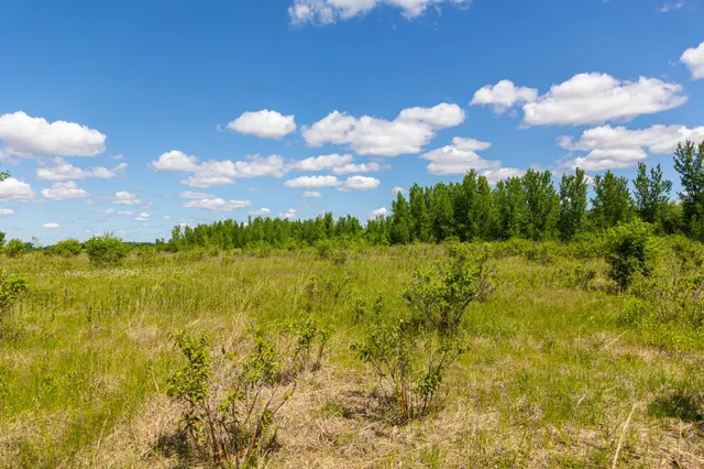 $499,999 | 22376 510th Avenue, Minnesota Lake, MN 56068