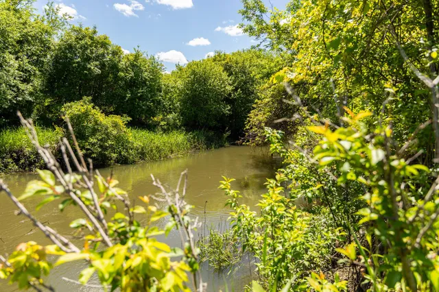 $499,999 | 22376 510th Avenue, Minnesota Lake, MN 56068