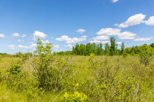 $499,999 | 22376 510th Avenue, Minnesota Lake, MN 56068