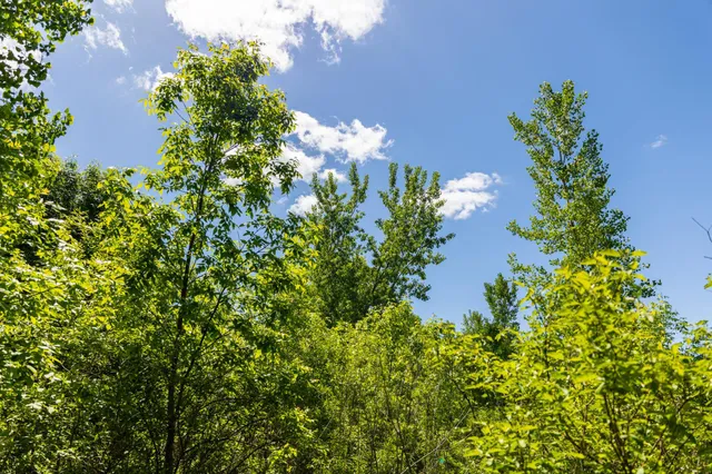 $499,999 | 22376 510th Avenue, Minnesota Lake, MN 56068