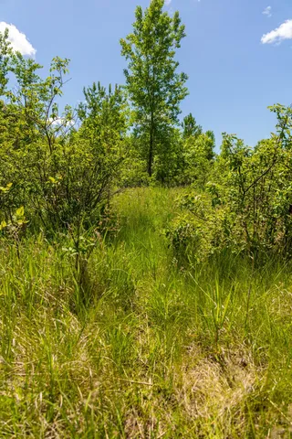 $499,999 | 22376 510th Avenue, Minnesota Lake, MN 56068