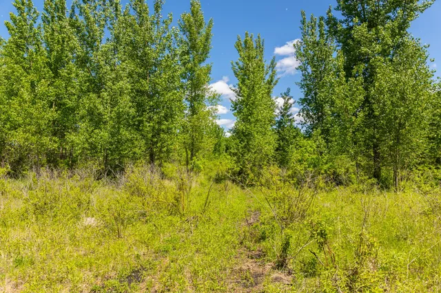 $499,999 | 22376 510th Avenue, Minnesota Lake, MN 56068