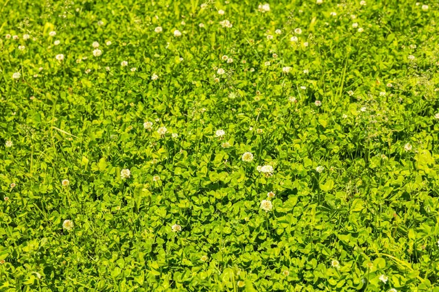 $499,999 | 22376 510th Avenue, Minnesota Lake, MN 56068