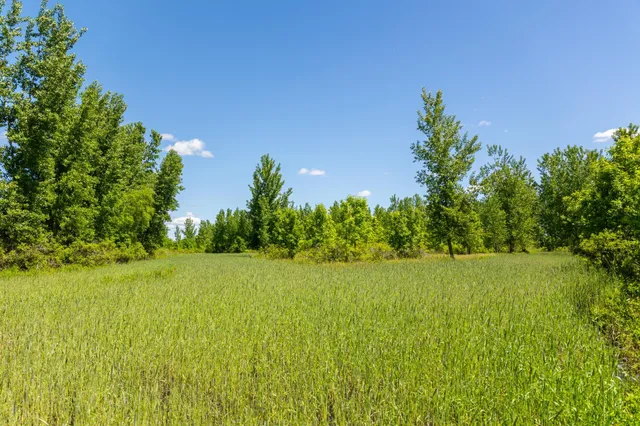 $499,999 | 22376 510th Avenue, Minnesota Lake, MN 56068