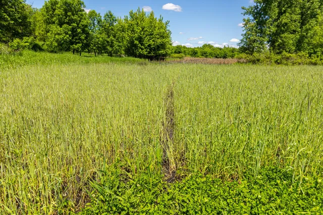 $499,999 | 22376 510th Avenue, Minnesota Lake, MN 56068