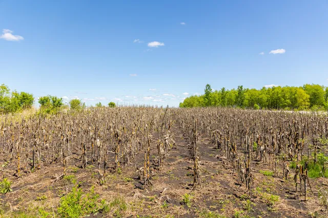 $499,999 | 22376 510th Avenue, Minnesota Lake, MN 56068