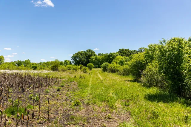 $499,999 | 22376 510th Avenue, Minnesota Lake, MN 56068