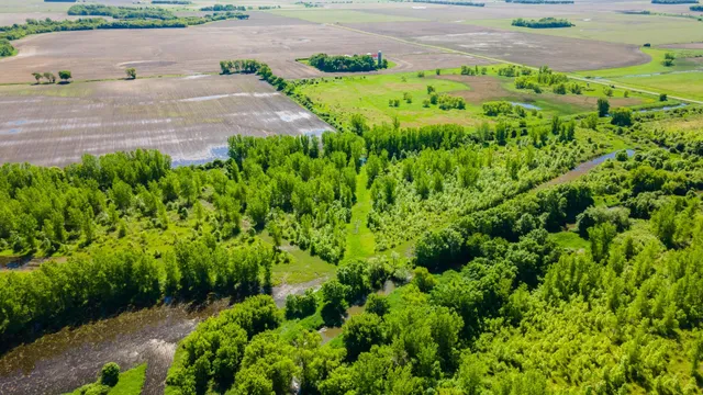 $499,999 | 22376 510th Avenue, Minnesota Lake, MN 56068