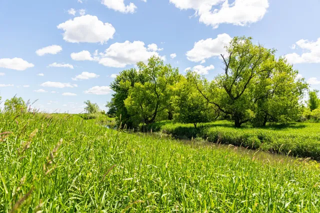 $499,999 | 22376 510th Avenue, Minnesota Lake, MN 56068