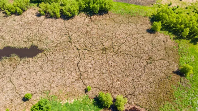 $499,999 | 22376 510th Avenue, Minnesota Lake, MN 56068