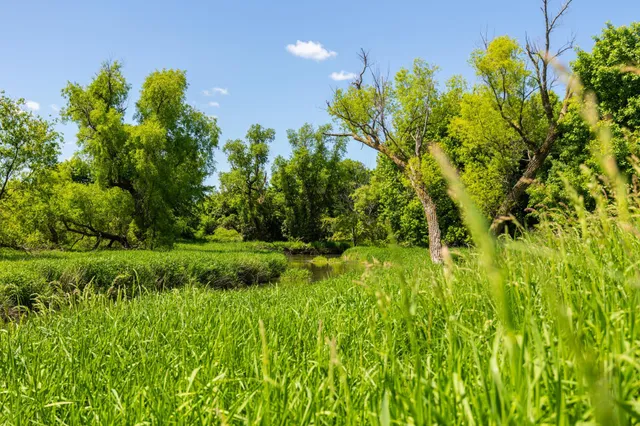 $499,999 | 22376 510th Avenue, Minnesota Lake, MN 56068