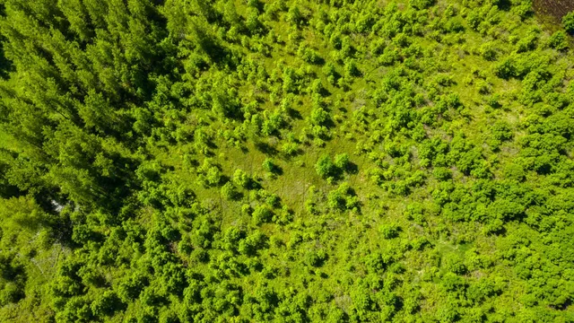 $499,999 | 22376 510th Avenue, Minnesota Lake, MN 56068