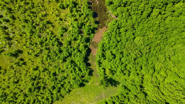 $499,999 | 22376 510th Avenue, Minnesota Lake, MN 56068